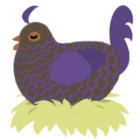 A bark and overcast chicken with a lace pattern