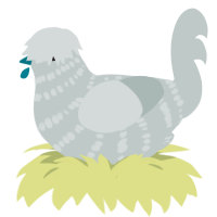 A silver chicken with a bar pattern