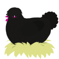 A sable and black chicken with a double-lace pattern