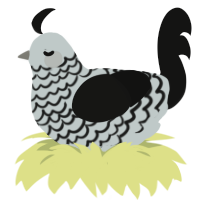 (unnamed), a silver and black chicken with a lace pattern