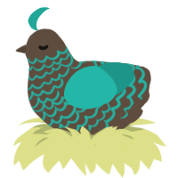 A bark and turquoise chicken with a lace pattern