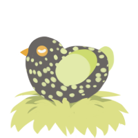 Bop, a grey and lemon chicken with a speckle pattern