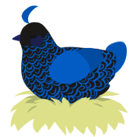 DJ, a sable and ultramarine chicken with a double-lace pattern