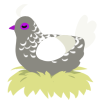 (unnamed), a ash and white chicken with a half-lace pattern