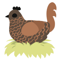 Dirtlet, a bark and brown chicken with a lace pattern