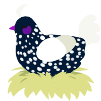 A tumblr and white chicken with a speckle pattern