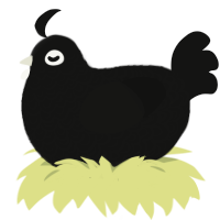 Void, a black chicken with a double-lace pattern