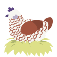 A white and russet chicken with a lace pattern