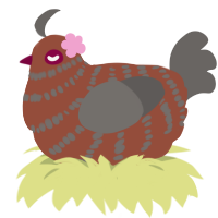 Pebble, a russet and grey chicken with a bar pattern
