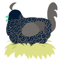Midnight, a tumblr and grey chicken with a double-lace pattern