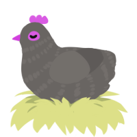 Banded Pigeon, a grey chicken with a bar pattern