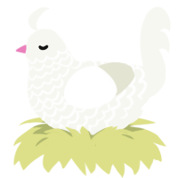xxy, a white chicken with a lace pattern