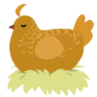 Jorange, a ochre and orange chicken with a half-lace pattern