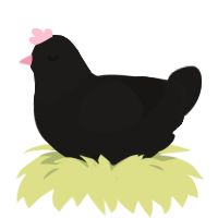 birb, a sable chicken with a head pattern