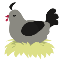unamed, a ash and sable chicken