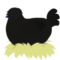 A sable and black chicken with a double-lace pattern