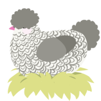 Stubs, a white and ash chicken with a double-lace pattern