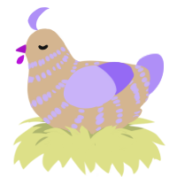neon, a beige and lilac chicken with a bar pattern