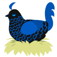 Bye Bye Baby Blue, a black and ultramarine chicken with a lace pattern