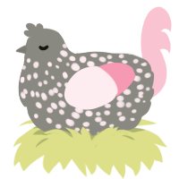 Feather Duster, a ash and rose chicken with a speckle pattern