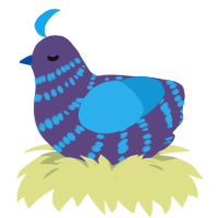 A overcast and sky chicken with a bar pattern