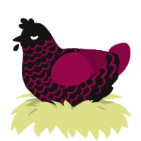 rosette, a black and maroon chicken with a lace pattern