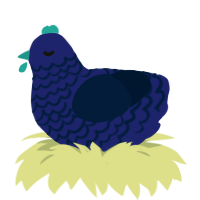 (unnamed), a navy and tumblr chicken with a lace pattern