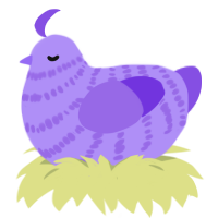 Peeba, a lilac and blurple chicken with a bar pattern