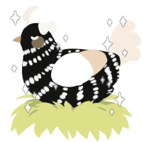 Rose, a black and cream chicken with a bar pattern