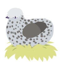 (unnamed), a mist and grey chicken with a speckle pattern