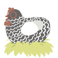 harMONy, a grey and white chicken with a lace pattern