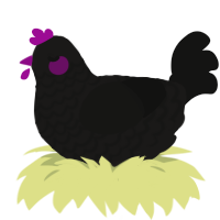 A sable and black chicken with a lace pattern