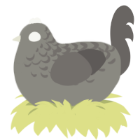 A ash and grey chicken with a half-lace pattern