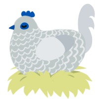 Spirit, a silver and mist chicken with a lace pattern