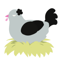 Baldspot, a silver and black chicken