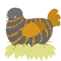 (unnamed), a grey and ochre chicken with a bar pattern