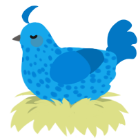 bluesky, a sky and sapphire chicken with a speckle pattern