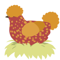 Orange Maple Leaf, a red and orange chicken with a speckle pattern