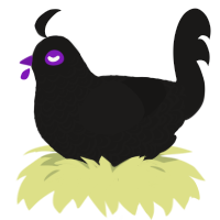 xxy sable, a sable chicken with a double-lace pattern