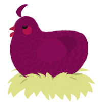 Tipsy, a wine chicken with a lace pattern