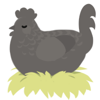 A grey chicken with a half-lace pattern