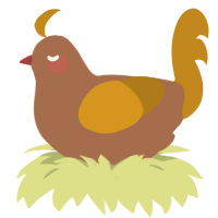 Kiwi, a brown and ochre chicken