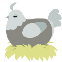 Pigeon, a ash and silver chicken with a head pattern