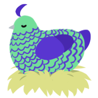 Fluorite, a spring and indigo chicken with a lace pattern