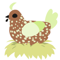 A brown and apple chicken with a speckle pattern