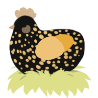 A black and honey chicken with a speckle pattern