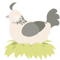 A cream and ash chicken with a neck-speckle pattern