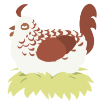 Chocolate Drizzle, a white and russet chicken with a half-lace pattern