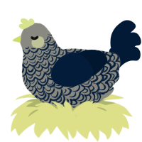 A ash and tumblr chicken with a double-lace pattern
