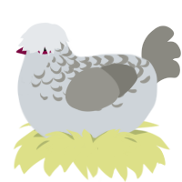 A mist and ash chicken with a half-lace pattern